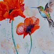 Plumage And Poppies Poster