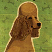 Poodle (brown) Poster