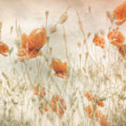 Poppies In The Field Poster