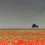 Poppy Flower Field With Tractor Poster