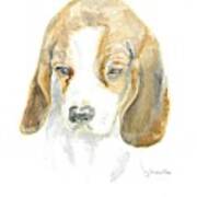 Pound Puppy - Watercolor Poster