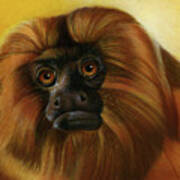 Primate Poster