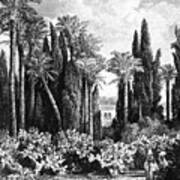 Princely Garden In Cairo, Egypt, 1880 Poster