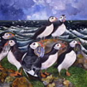 Puffins Poster