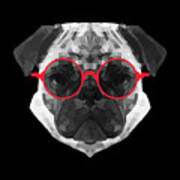Pug In Red Glasses Poster
