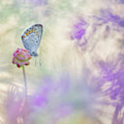 Pulsatilla Meadow Poster