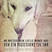 Puppy Dawg Quote Poster