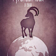 Pyrenean Ibex Poster