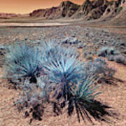 Red Rock Canyon Overview In Infrared #3 Poster