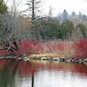 Red Splash On Pond Early Spring Poster