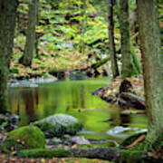 Reflection Pond #2 Poster