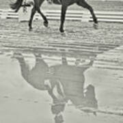 Reflections In Dressage Poster
