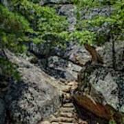 Robbers Cave Steps Poster
