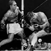 Rocky Marciano Has Roland Lastarza On The Ropes 1953 Poster