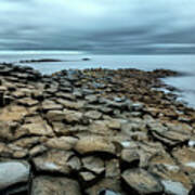 Rocky Shores Poster