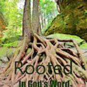 Rooted In God's Word Poster