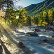 Rosebud Creek Sunrise Poster