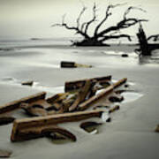 Ruins On Driftwood Beach Poster