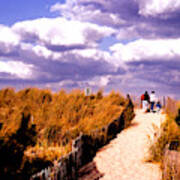 Sand Dunes, Cape Henlopen Poster