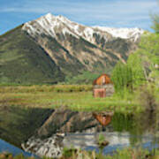 Sawatch Cabin - Spring Poster