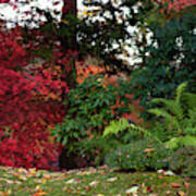 Scarlet Red And Emerald Green In Japanese Garden 1 Poster