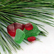 Sea Glass And Pine Needles Poster
