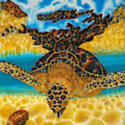 Sea Turtle And Sea Shell Poster