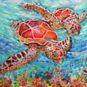 Sea Turtles On Coral Reef Poster