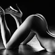 Sensual Nude Body Curves Poster