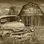 Sepia Tone Of Rusted Chevy Pickup Truck In A Rural Landscape By A Mail Pouch Tobacco Barn Poster