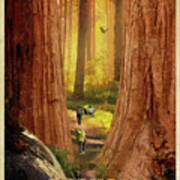 Sequoia Poster