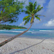 Seychelles Beach Poster