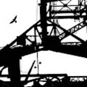 Silhouette Of Bird Flying From Bridge Poster