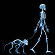 Skeleton Walking A Marmoset Poster