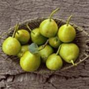Small Summer Saint Jean Pears In A Metal Baskets On A Piece Of Cork Bark Corsica Poster