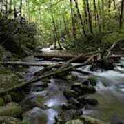 Smoky Mountain Stream Poster