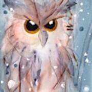 Snowy Owl Poster