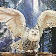 Snowy Owl On Takeoff Poster