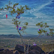 Sonoran Christmas Poster