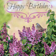Sparrow In Lilacs Birthday Card Poster