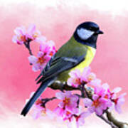 Spring Bird 3a Poster