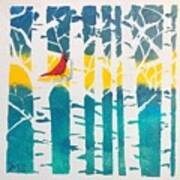 Spring Cardinal With Birch Trees Poster