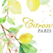Spring Citron In Paris Poster