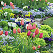 Spring Tulips Poster