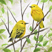 Springtime Warblers Poster