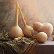 Still Life With Medicinal Pumpkins Poster