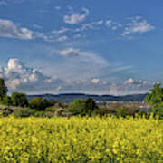 Summer On Lake Constance Poster