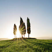 Sun Of Val D'orcia Poster