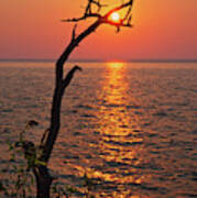 Suncatcher -  Dead Tree Grasps The Rising Sun At Cave Point Park In Door County Wi Poster