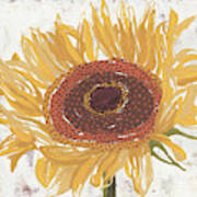 Sunflower V Poster